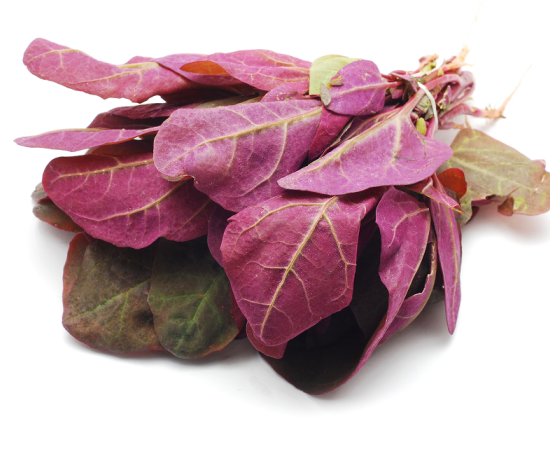 Loboda - Produse de la fermieri si producatori locali - fermierbun.ro