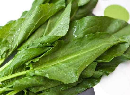 Stevie - Produse de la fermieri si producatori locali - fermierbun.ro
