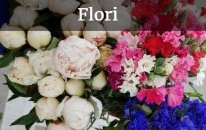 Flori